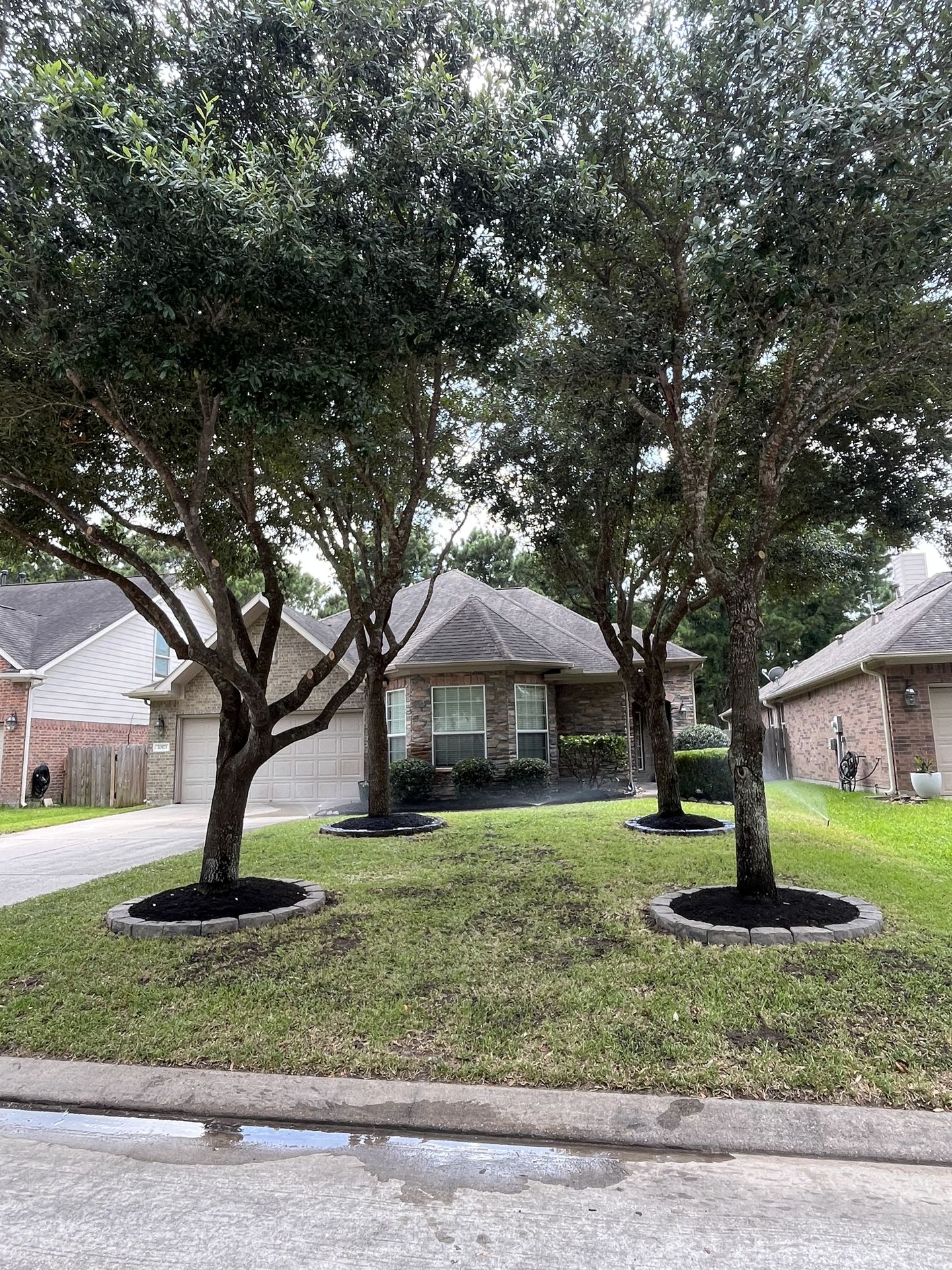 Tree trimming and irrigation maintenance Houston TX