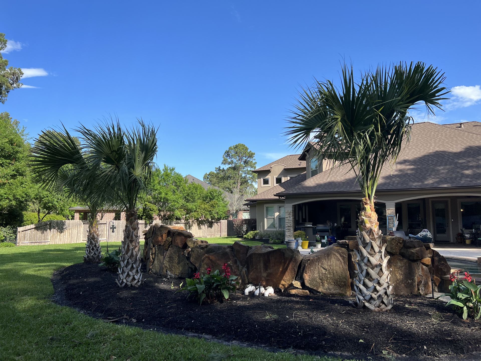 Palm tree planting with boulder accent wall Houston TX